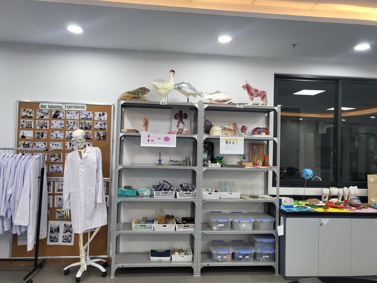 인체 골격 모형과 실험 가운, 표본이 놓인 과학실 선반